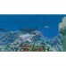 Гра Minecraft для XBOX One