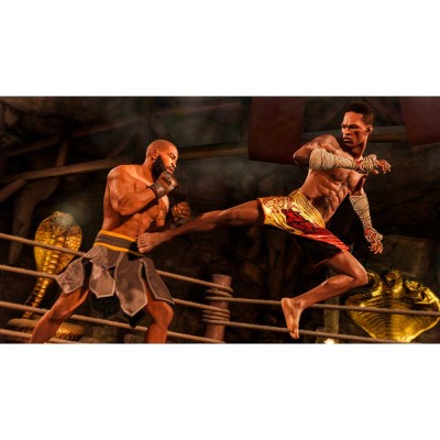 Гра UFC 4 для PlayStation 4 (1055619)