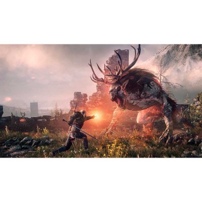 Ігра Dark Souls 3 / The Witcher 3 Wild Hunt для PS4