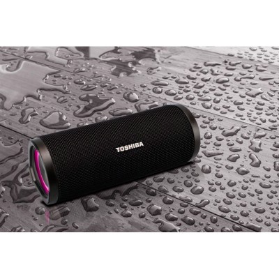Портативна акустика TOSHIBA TY-WSP102 Портативна акустика TOSHIBA TY-WSP102
