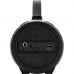 Портативна акустика DEFENDER G24 Black (65124)