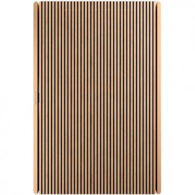 Портативна акустика BANG & OLUFSEN Beosound Level Gold Tone Alu/Light Oak (1200498)