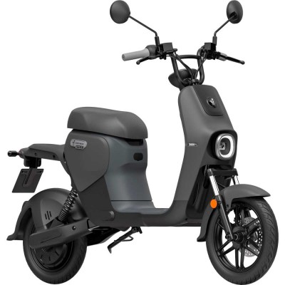 Електроскутер SEGWAY B110S Black Grey (AA.50.0004.06)