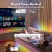 Розумна світлодіодна стрічка GOVEE H619С RGBIC Basic Wi-Fi + Bluetooth LED Strip Light (H619C3D1)