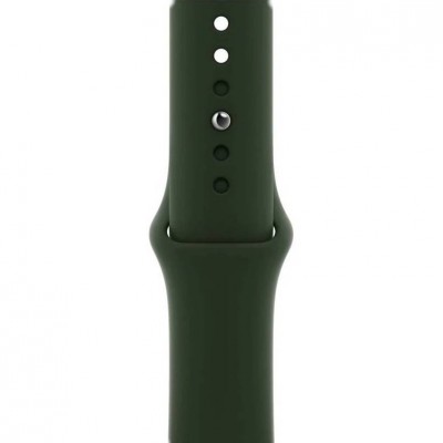 Ремінець Apple Sport Band для APPLE Watch 45mm Clover Sport Band-Regular (MKUN3ZM/A)