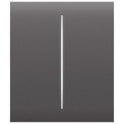 Кнопка AJAX CenterButton 2-gang для LightSwitch, Jeweler Grey (000029830)