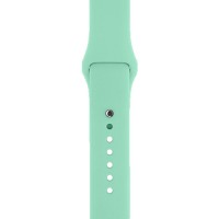 Ремінець ARMORSTANDART Sport Band для Apple Watch 42/44/45/49mm Succulent (ARM65086) Ремінець ARMORSTANDART Sport Band для Apple Watch 42/44/45/49mm Succulent (ARM65086)