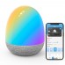 Настільний світильник GOVEE розумний H6057 RGBIC Night Light (H6057301)