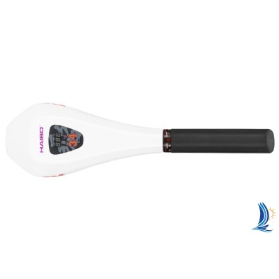 Электромотор Haibo D34 + аккумулятор Haswing 90Ah Электромотор Haibo D34 + аккумулятор Haswing 90Ah