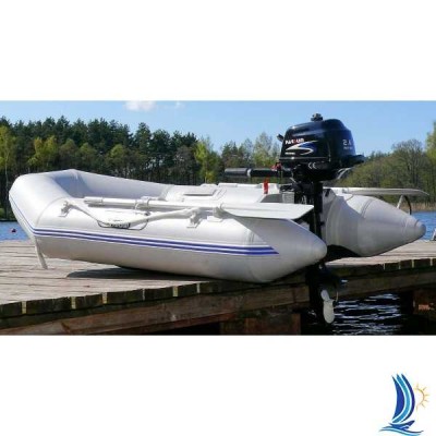 Лодочный мотор Parsun F2.6 BMS Лодочный мотор Parsun F2.6 BMS
