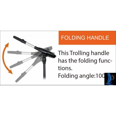 Лодочный электромотор Haswing (Хасвинг) Protruar G 3 л.с. 110 Lbs 24 V Лодочный электромотор Haswing (Хасвинг) Protruar G 3 л.с. 110 Lbs 24 V