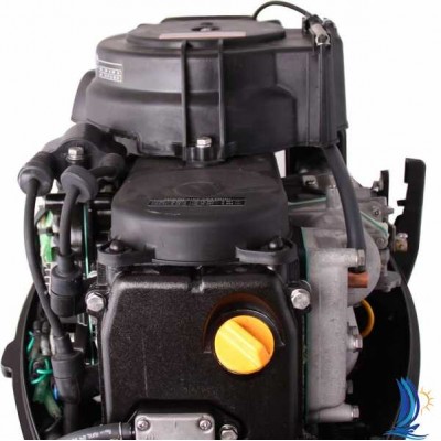 Лодочный мотор Parsun F9.8 BWS Лодочный мотор Parsun F9.8 BWS